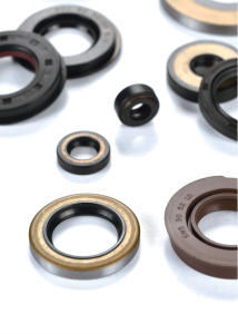 OIL SEAL